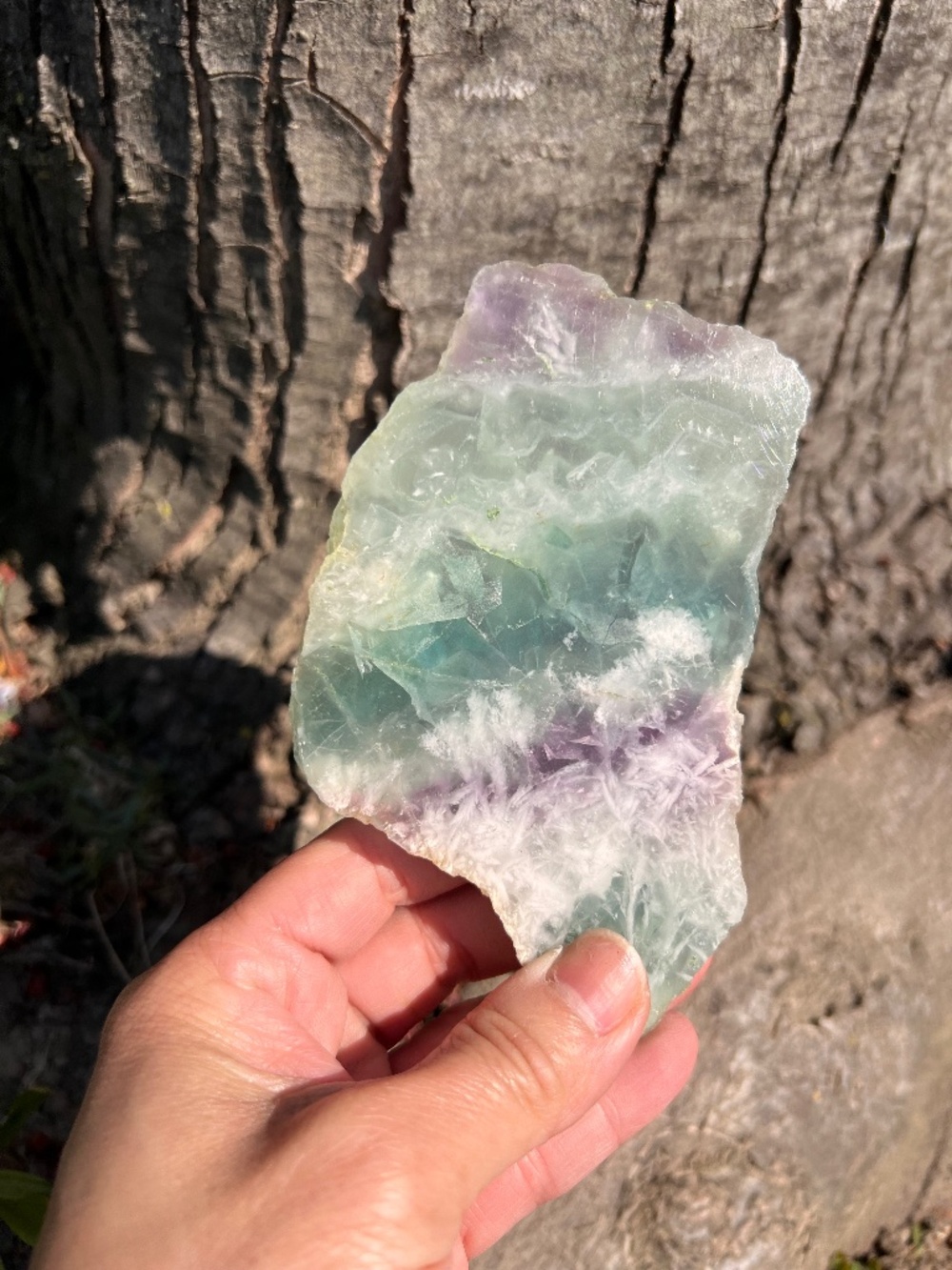 Feather (3) fluorite slab with stand | crystal